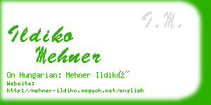 ildiko mehner business card